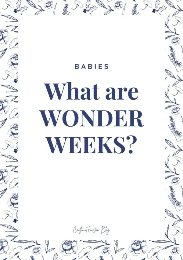 Wonder Weeks Developmental Periods in Babies