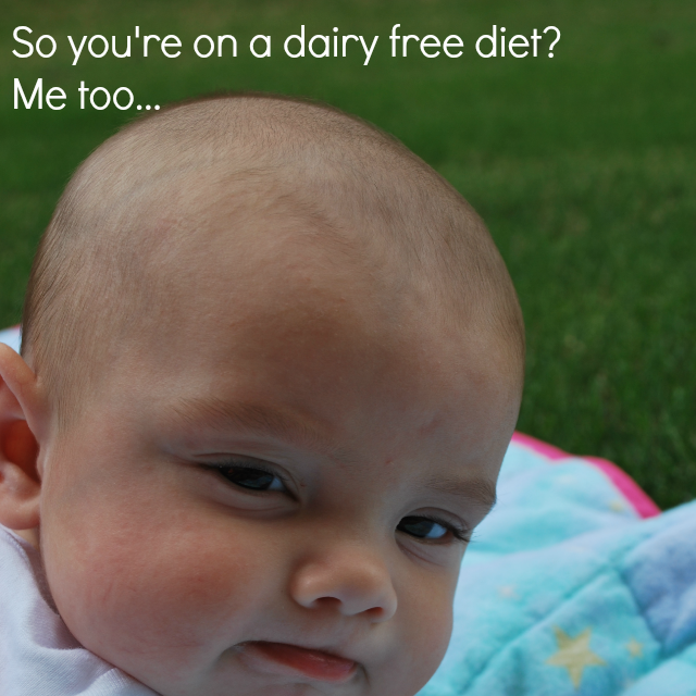 dairy free diet button