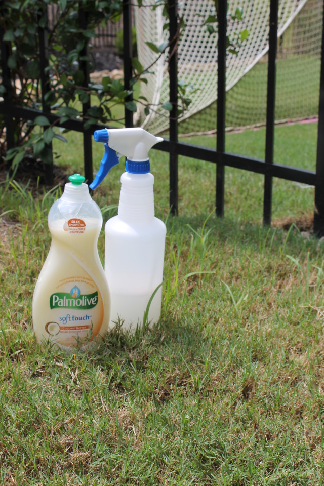 How to Kill Weeds with Dish Soap