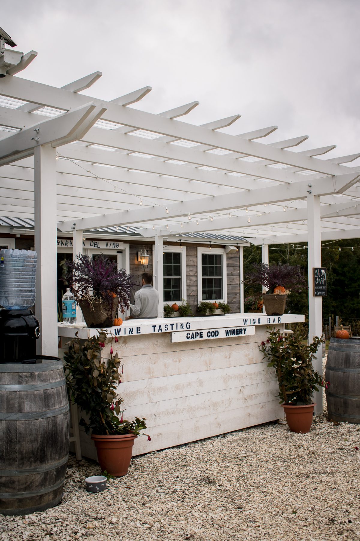 Cape Cod Winery - Things to Do in Cape Cod - Falmouth, Cape Cod