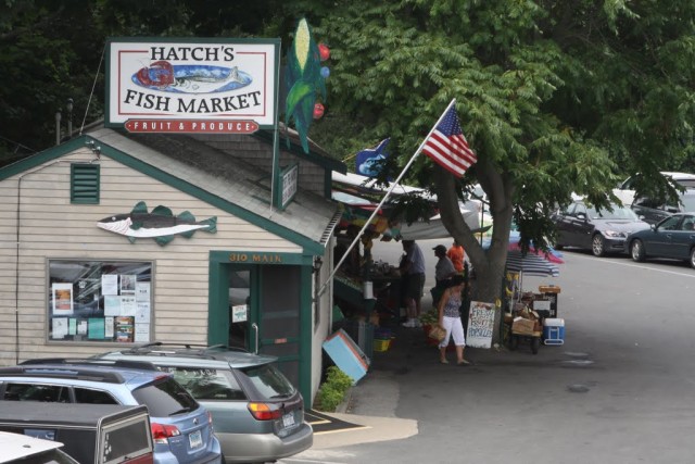 wellfleet hatch's fish market