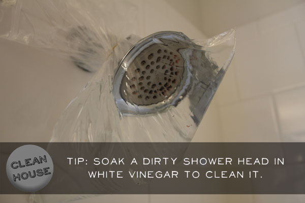 clean-house-shower-head-hero
