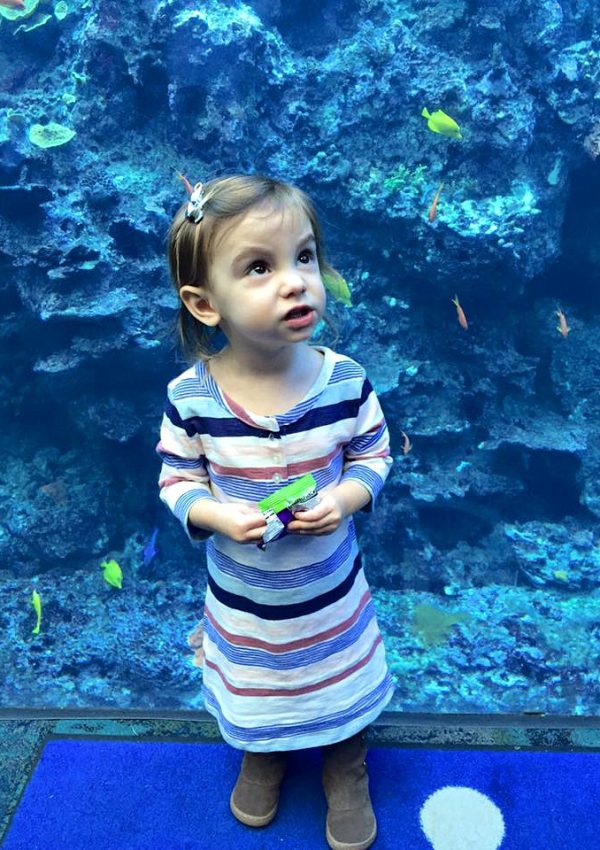Tips for a Day at the Aquarium