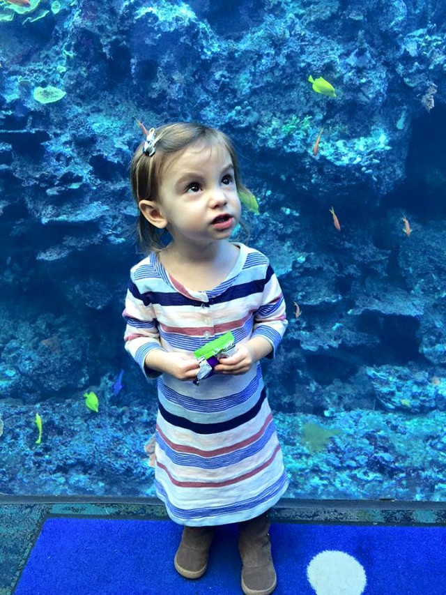 Annabelle Aquarium