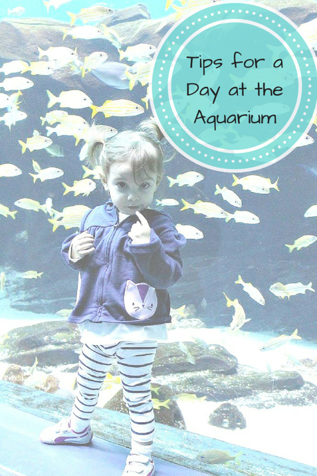 Tips for Toddlers at the Aquarium