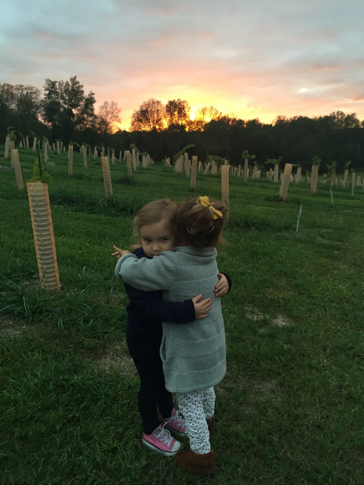 Cousins Hugging at Sunset at the Vineyard
