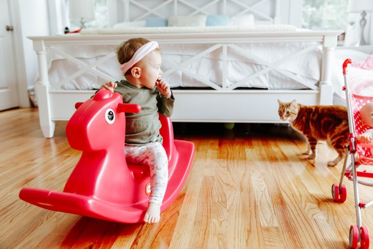 How to Create a Safe Space for Your Baby and Pet - Baby sitting on rocker with cat in background
