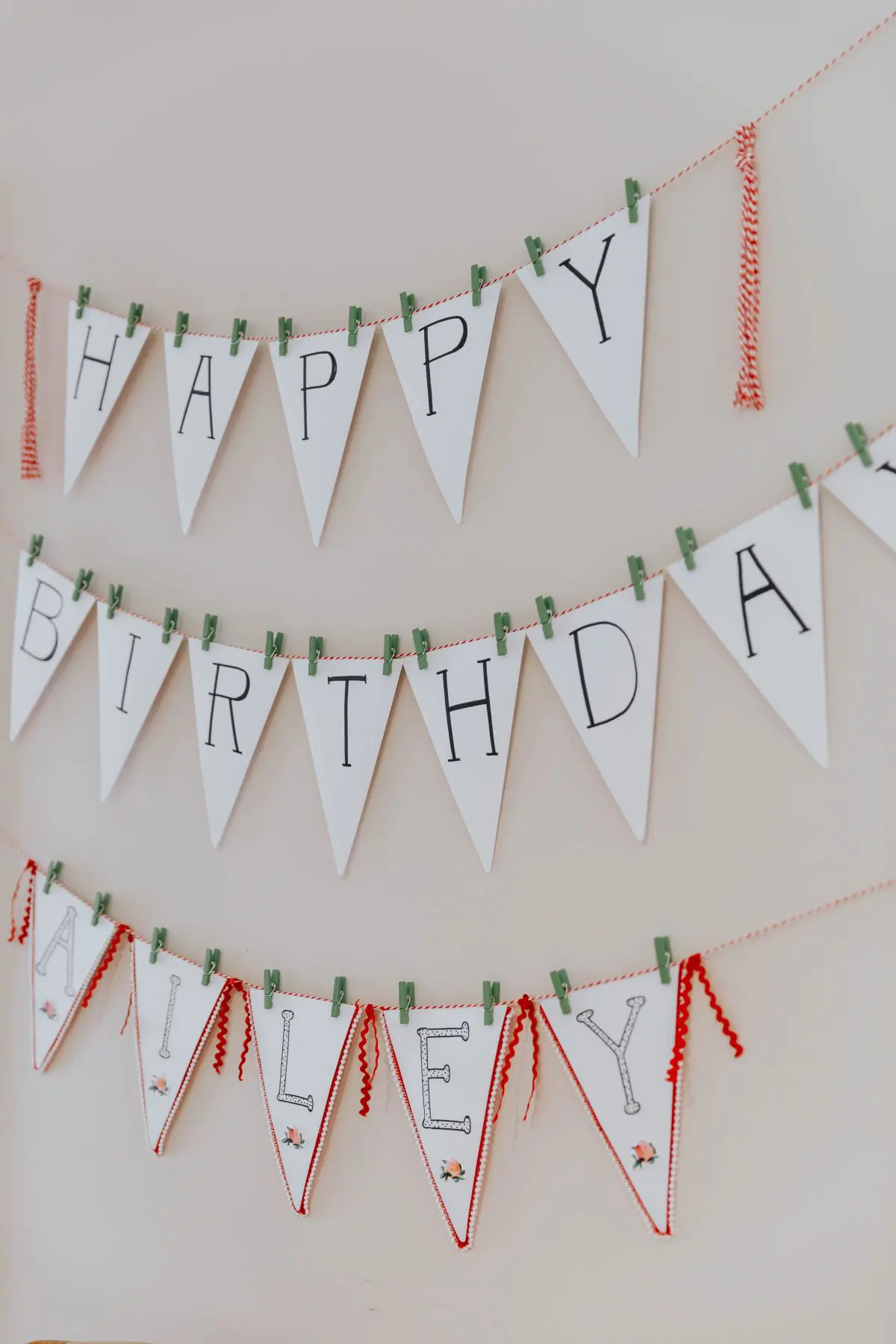 Watermelon Party Decor 