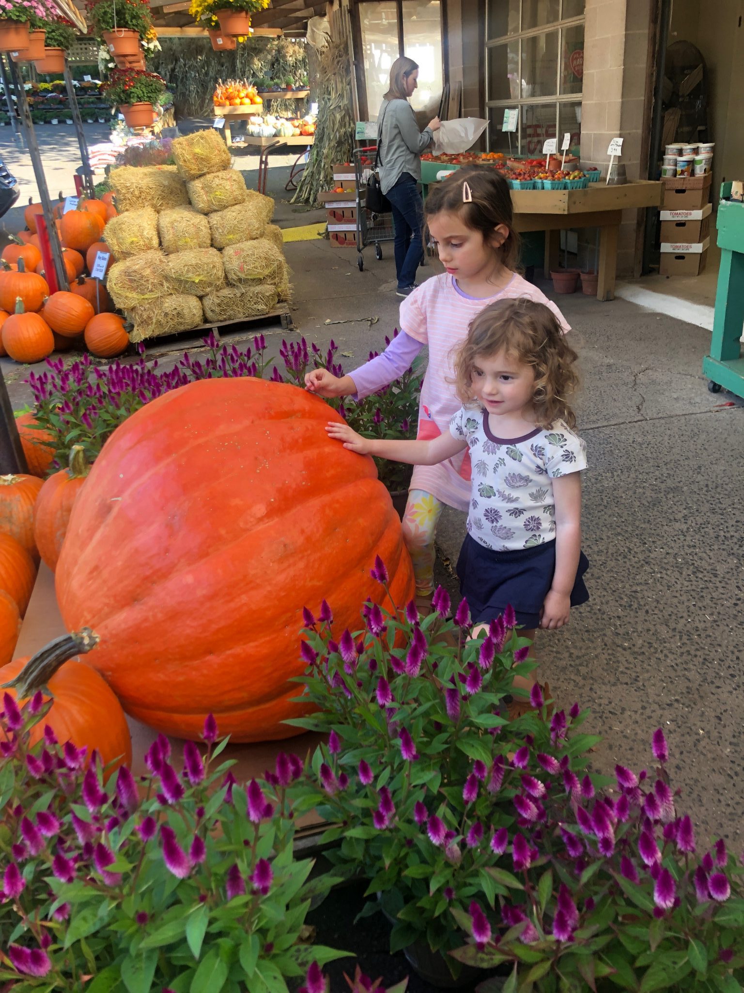 Giant Pumpkin at Farm with Little girls