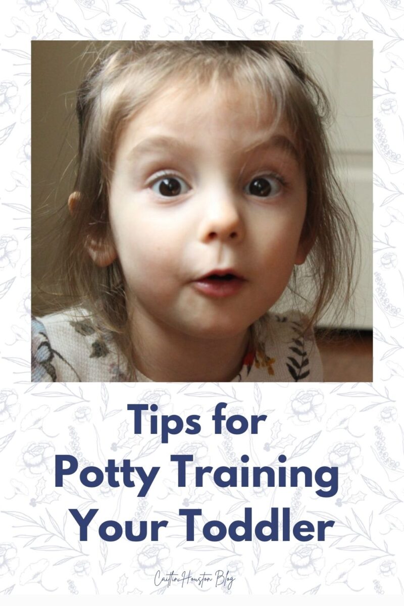 Tips for Potty Training Your Toddler Caitlin Houston Blog