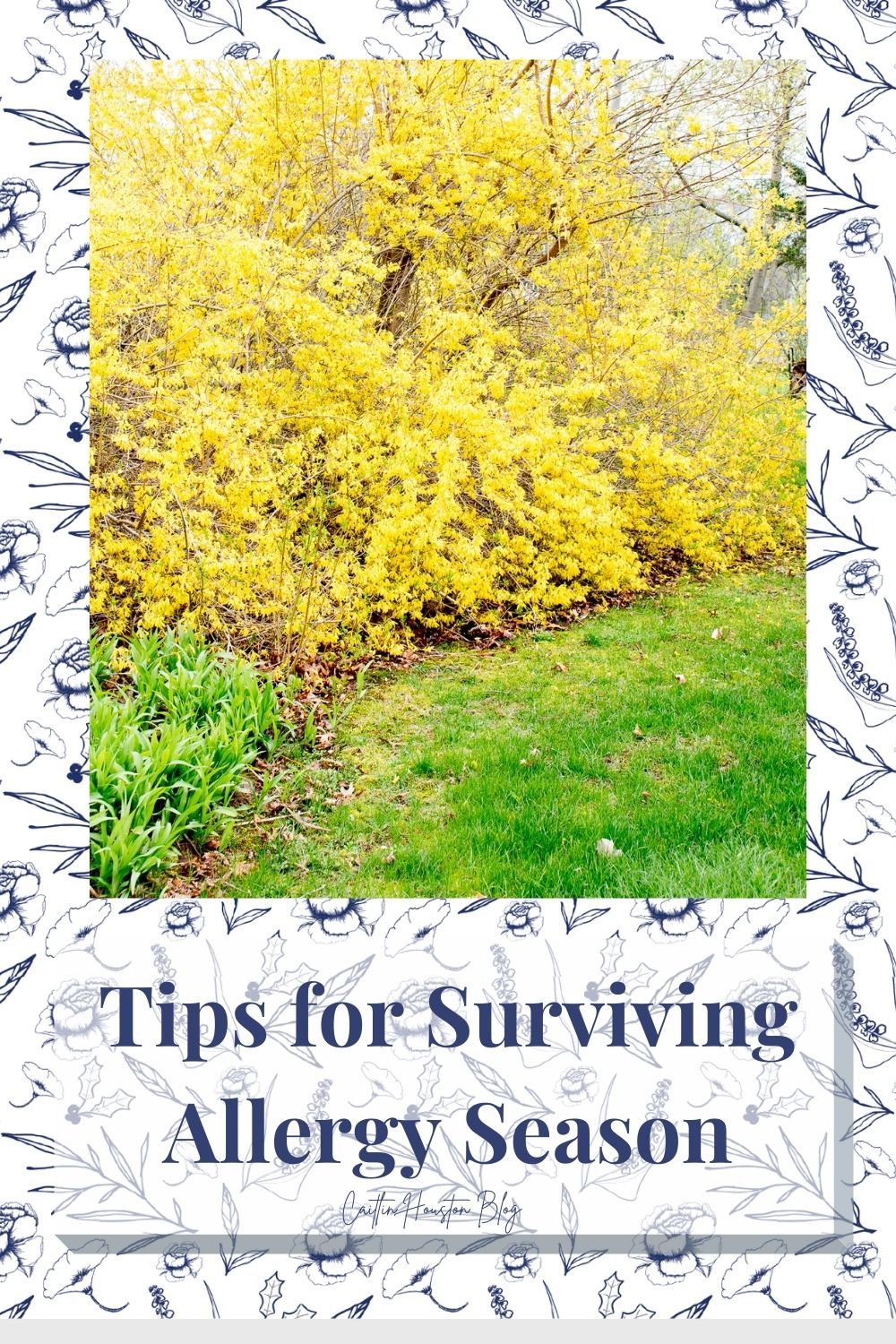 Tips for surviving allergy season with Caitlin Houston Blog 