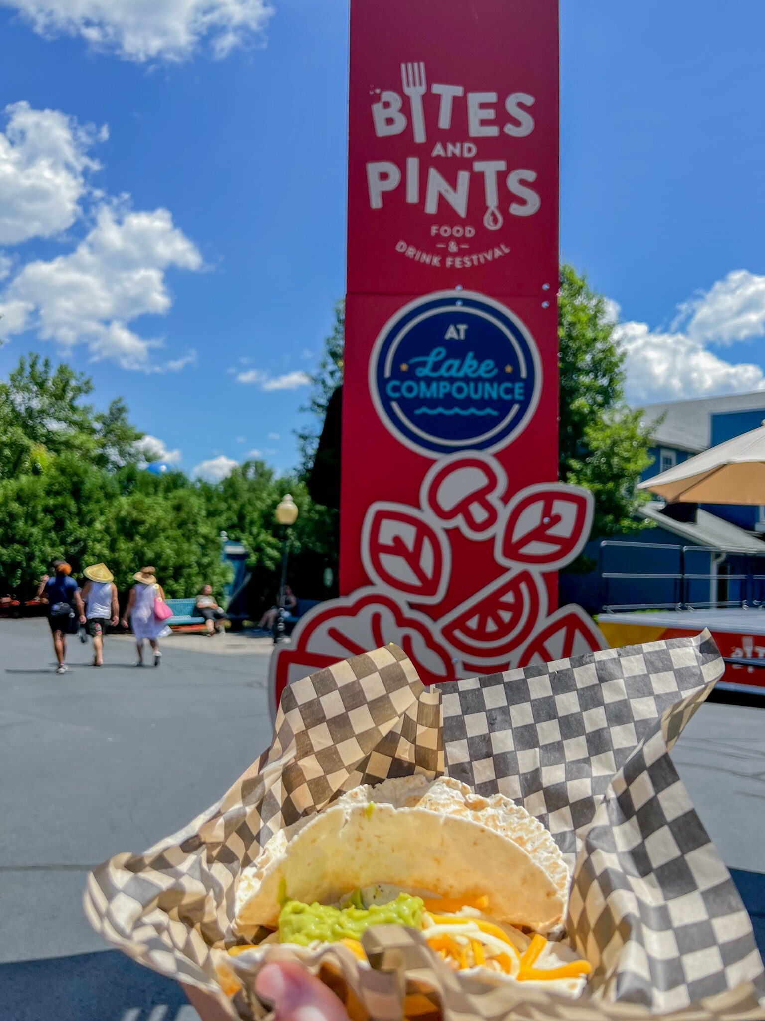 Chicken Tacos Bites and Pints