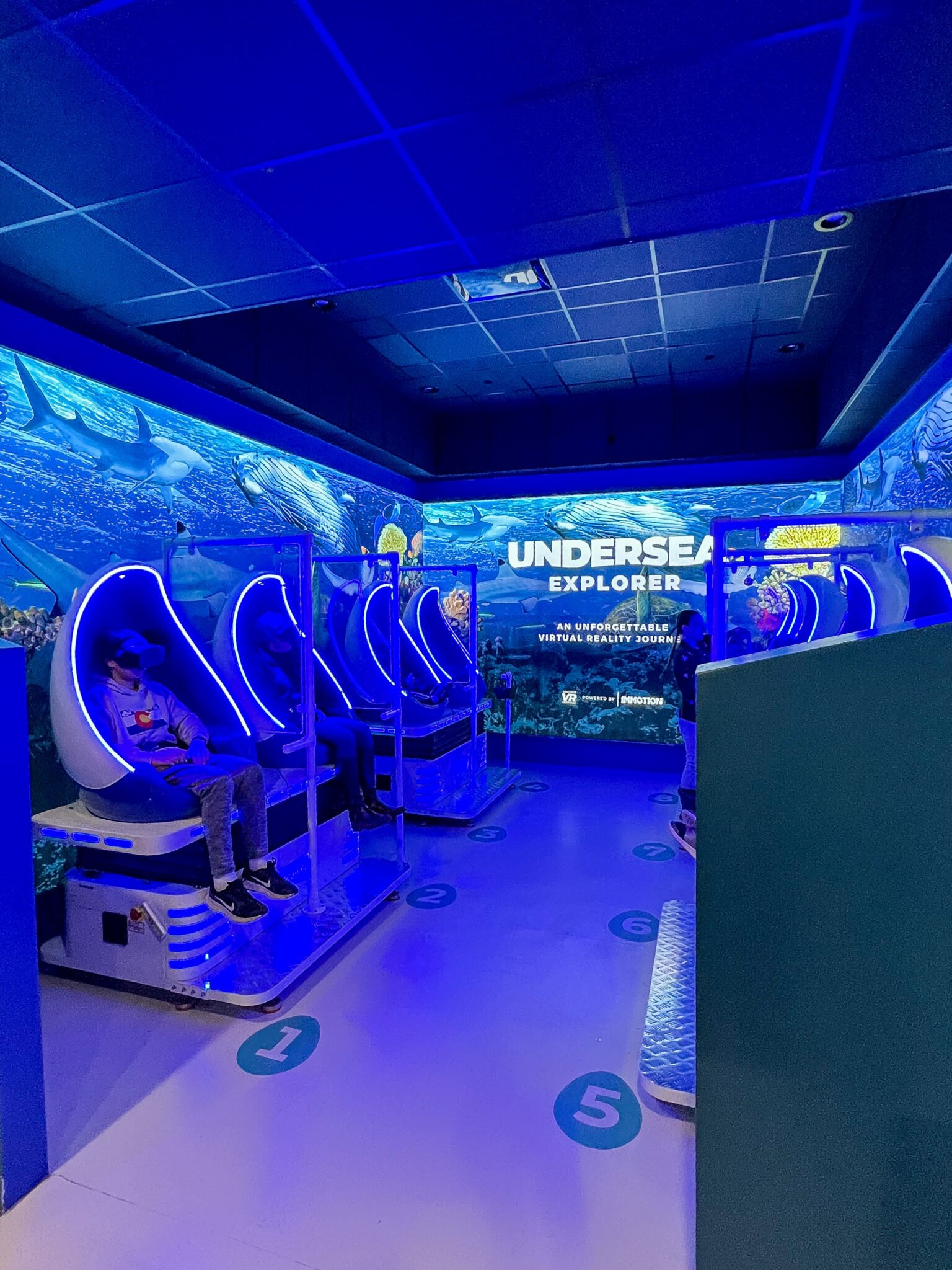 Virtual Reality at Mystic Aquarium