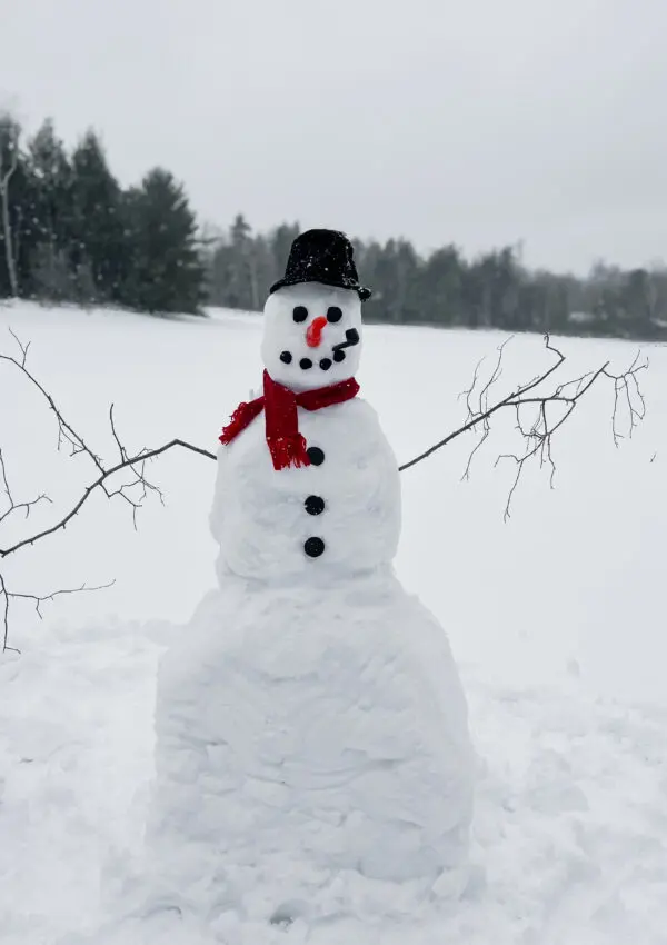 snowman by lake