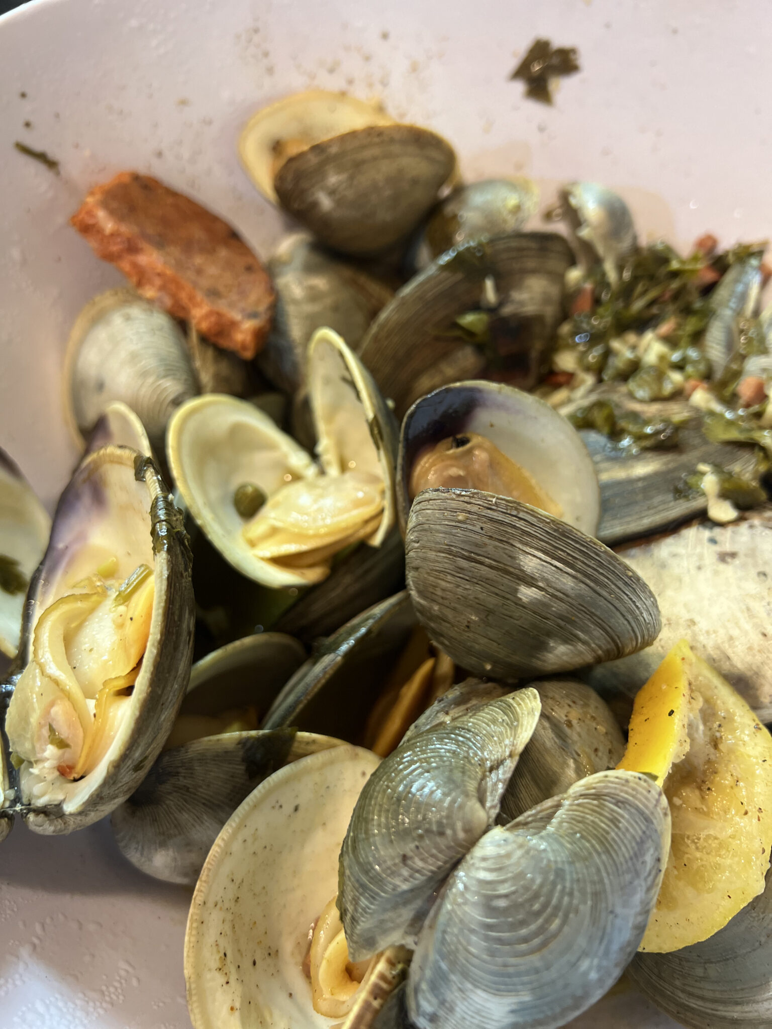 Sausage and Clams with Lemon White Wine and Garlic Steamed for Large Family Dinner on Vacation