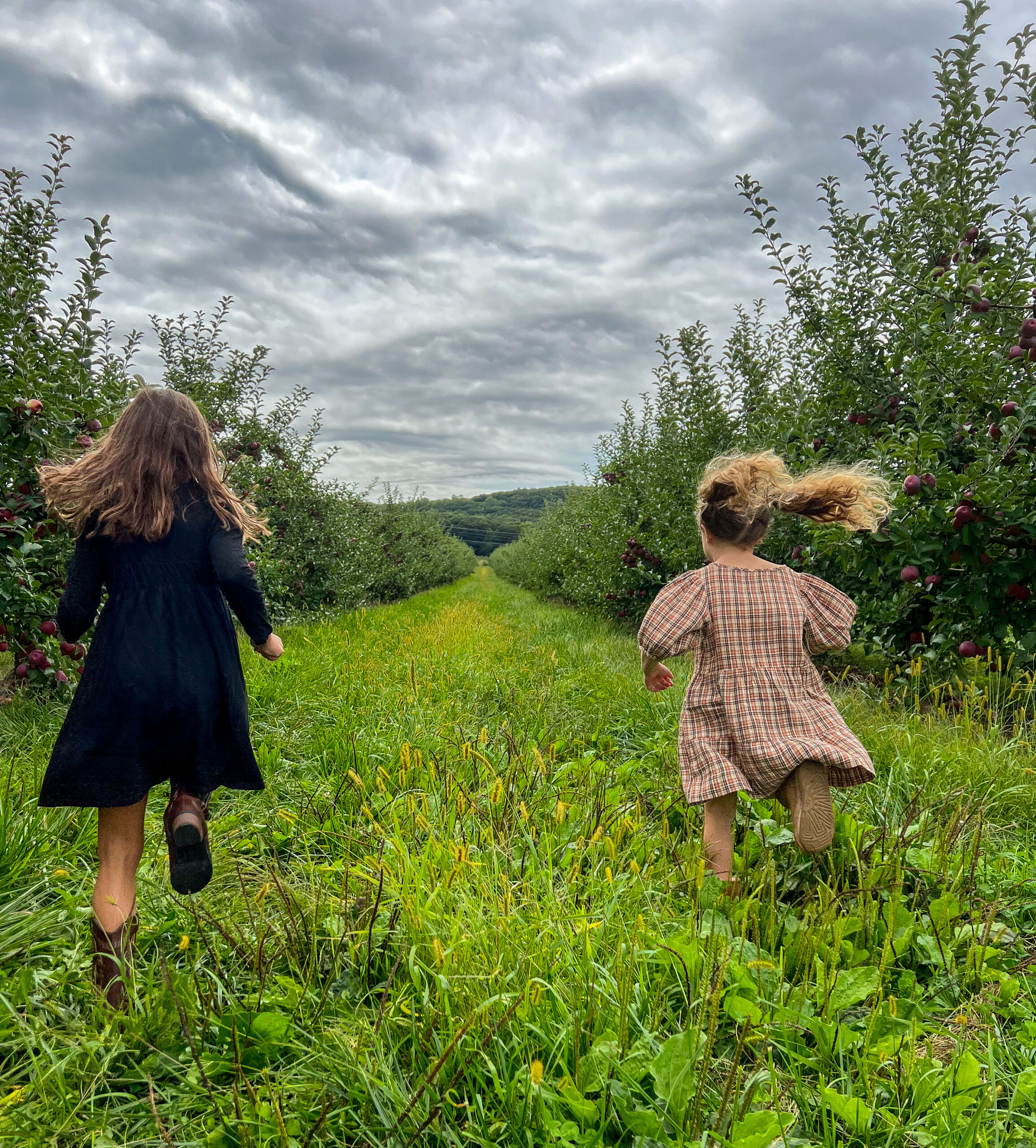 kids running through apple orchard wallingford ct fall things to do