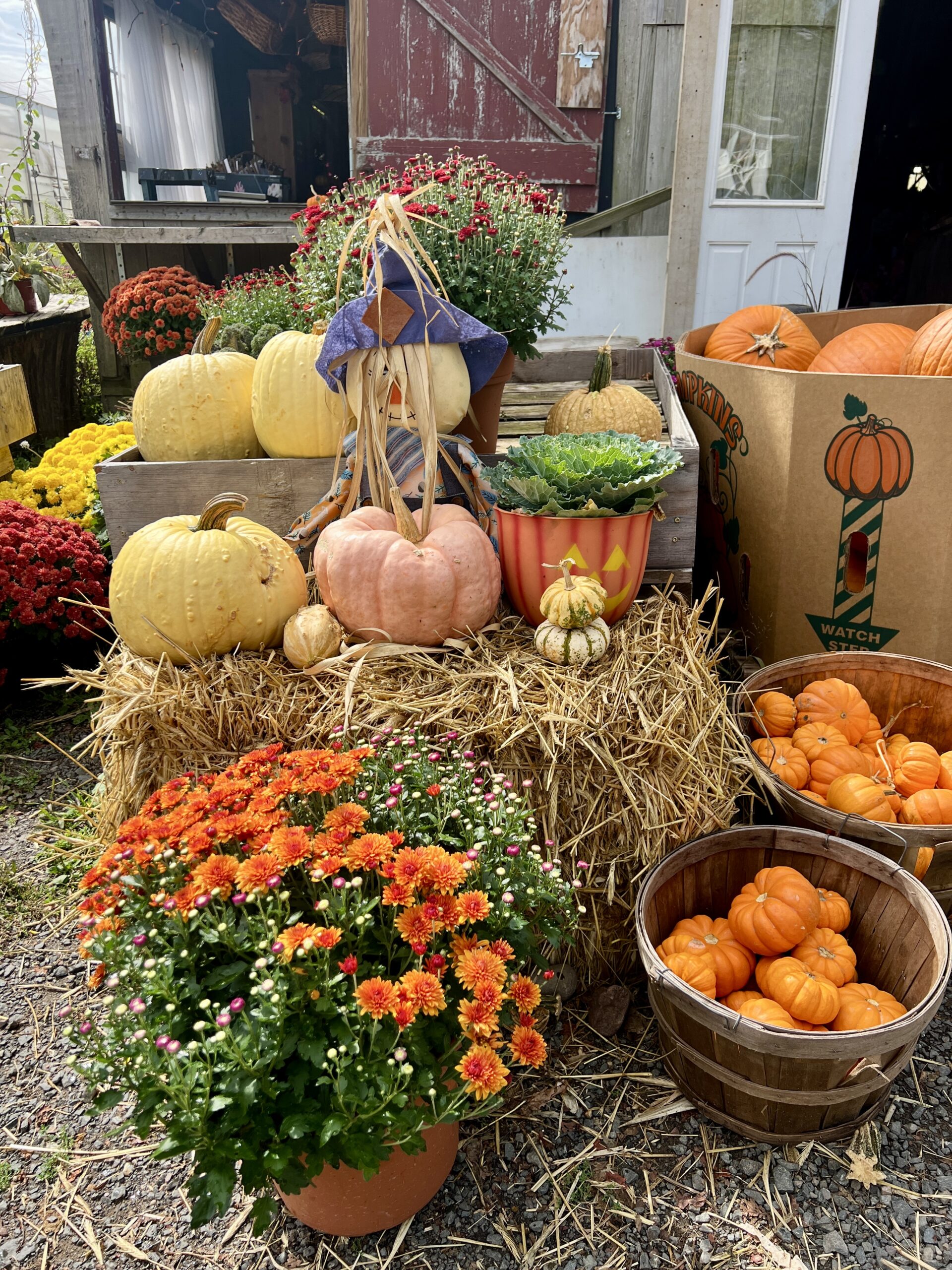 Fall harvest display Beaumont's Farm Connecticut Bucket List