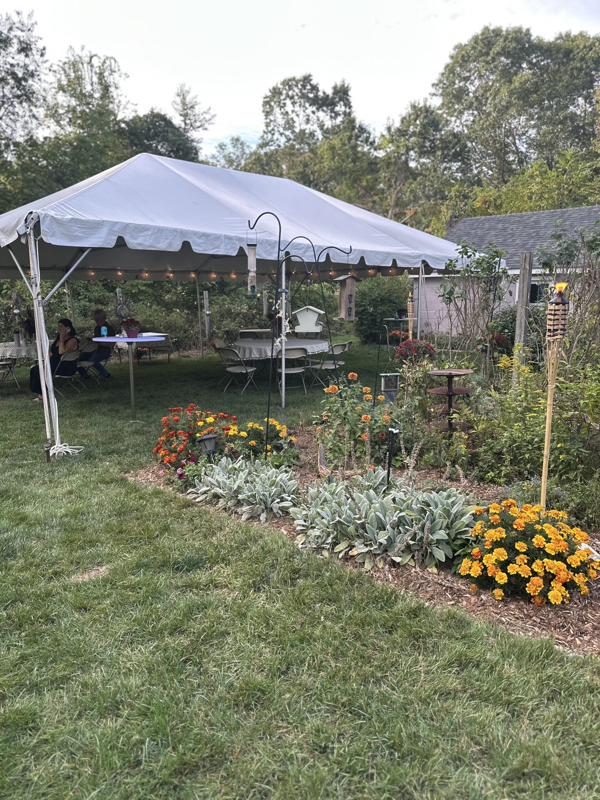 40th Backyard Party White Tent Twinkly Lights Fall Florals planted