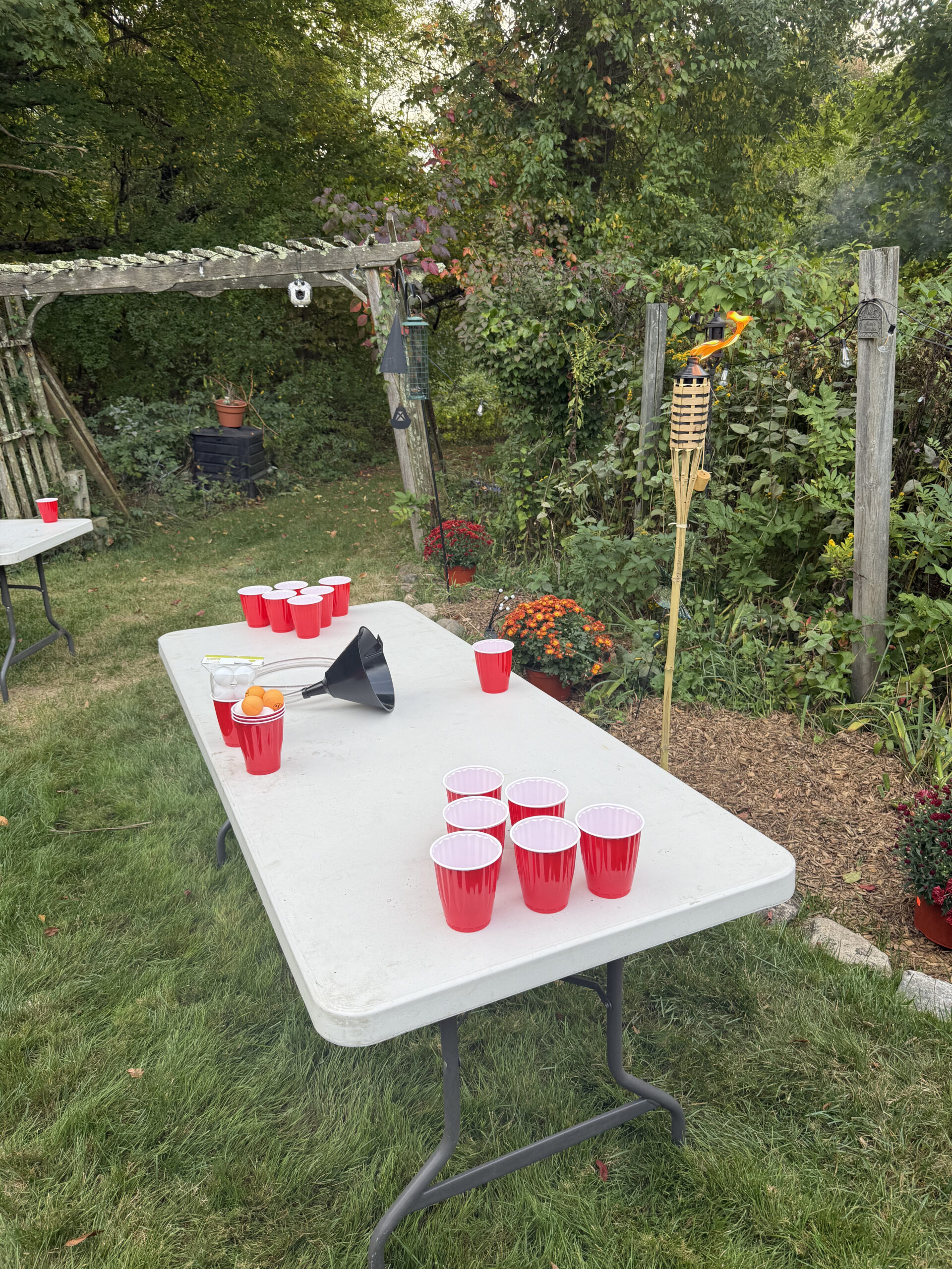 Beer pong table at 40th birthday party backyard high school style