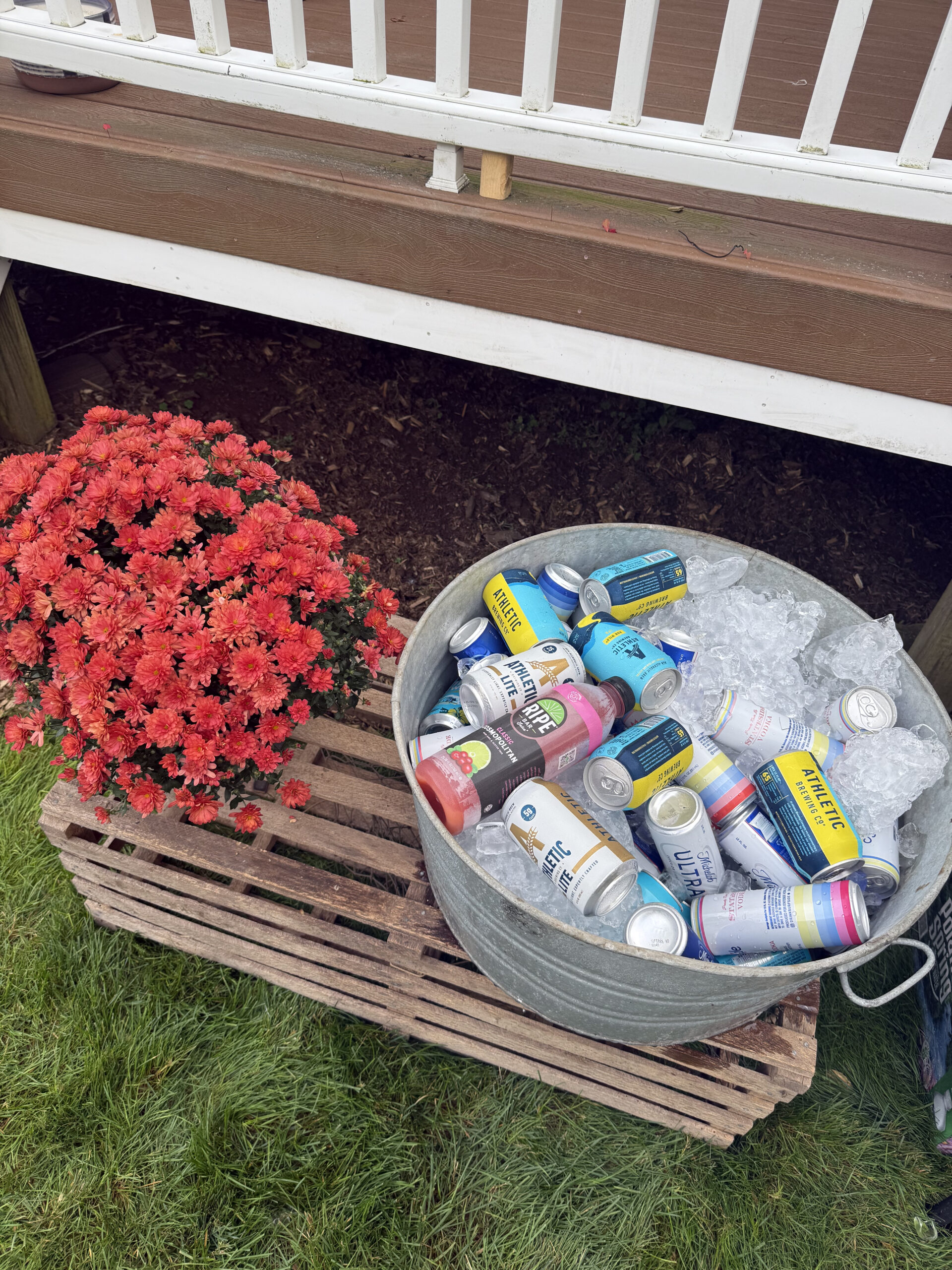 Tin bucket of alcoholic canned drinks and red mum on top of lobster crate 40th backyard birthday party