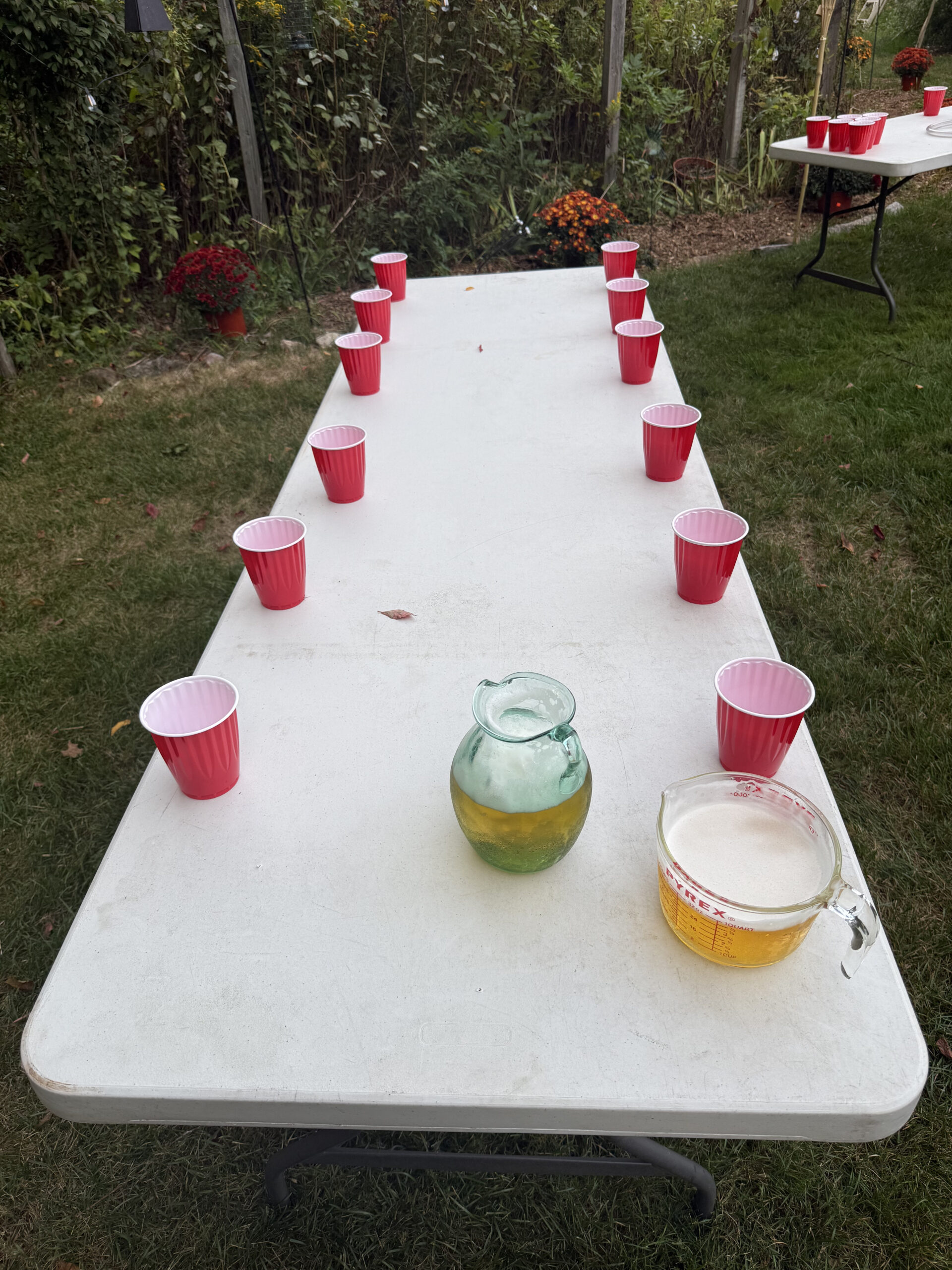 Flip cup table at 40th birthday party backyard high school style
