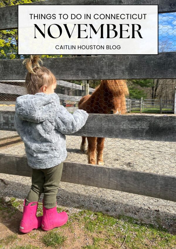 November in Connecticut may not get as much attention as the peak of fall foliage or glistening sparkle of December - but that is what makes it so special. The air is crisp, the weekends start to feel cozier and slower before the holiday rush. Whether you're craving cozy indoor plans or one last outdoor adventure before winter, here are some of the best things to do in Connecticut in November.