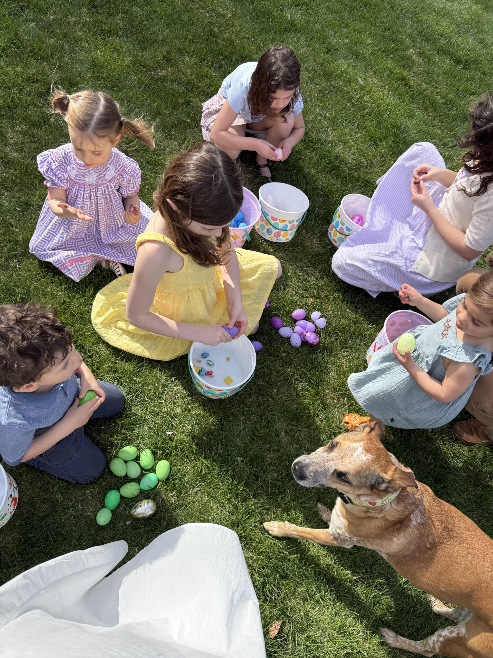 color coded easter egg hunt