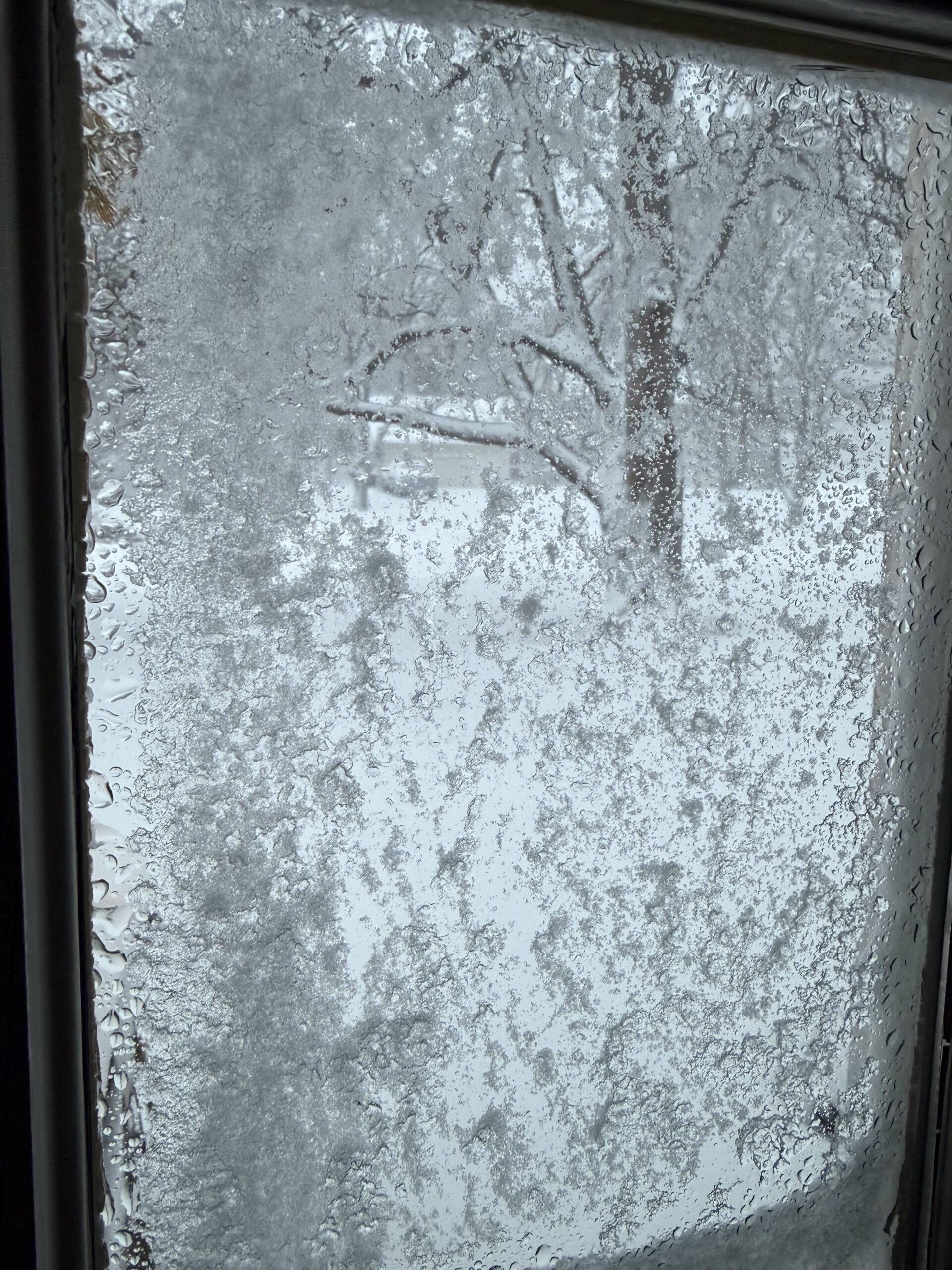 2026 blizzard connecticut