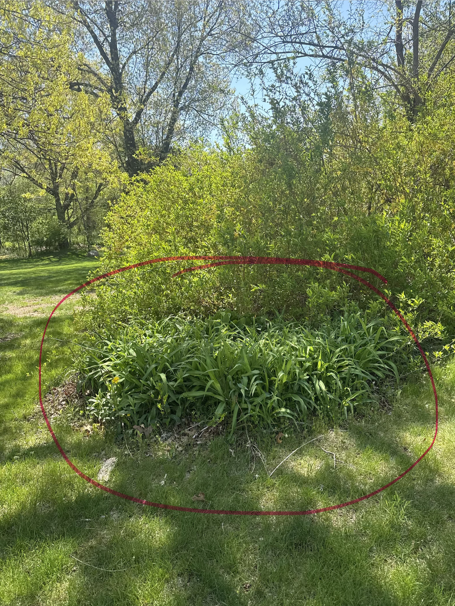 busy mom in May